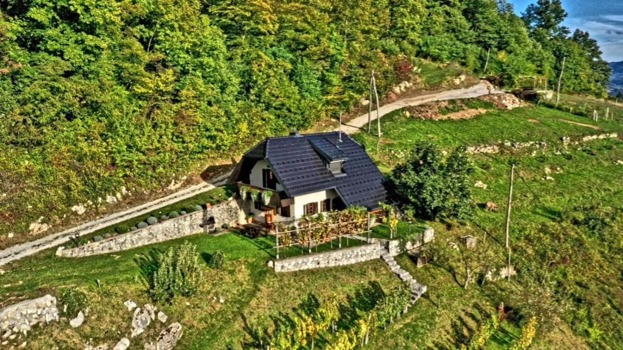 Vineyard Cottage Podrzaj Otocec Exterior photo
