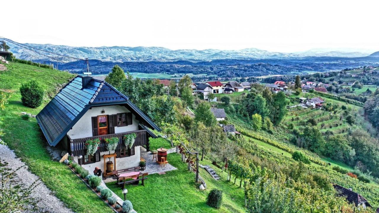 Vineyard Cottage Podrzaj Otocec Exterior photo